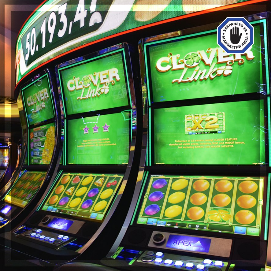 Try your luck on one of our